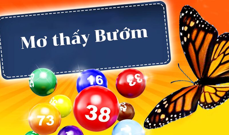 mo thay buom